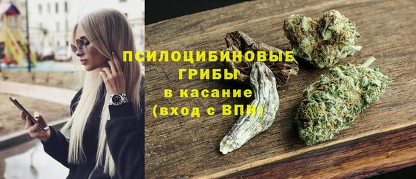2c-b Костерёво